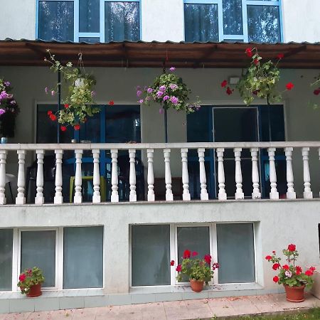 Drumu Carului Casa Albastra酒店 外观 照片
