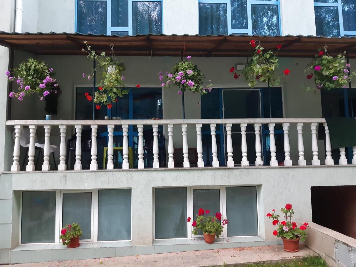 Drumu Carului Casa Albastra酒店 外观 照片
