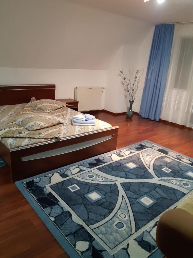 Drumu Carului Casa Albastra酒店 外观 照片